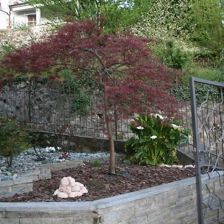 Rose House شقة