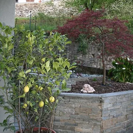 Rose House شقة