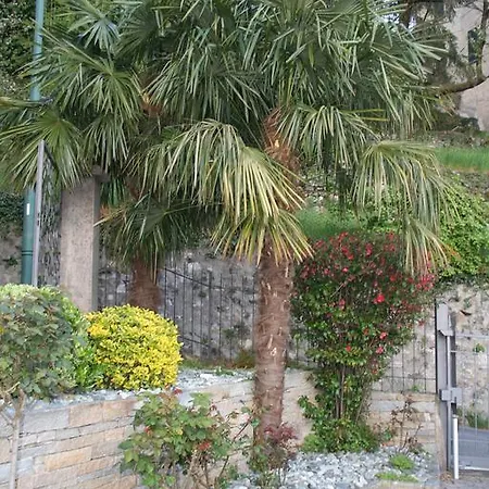Rose House نيسّو
